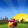 Angry birds iphone 4 háttérkép csirke